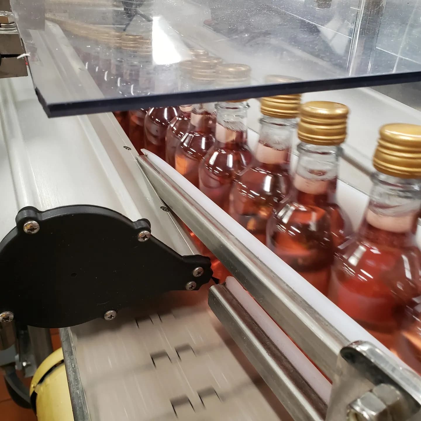 Small glass bottles with gold caps moving along an automated factory conveyor belt under transparent guides.