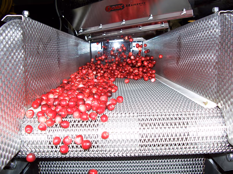 Sonic XE Air Knife for industrial food processing and drying